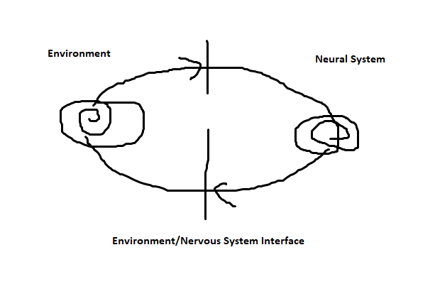Nervous System-Environment-Better-Picture